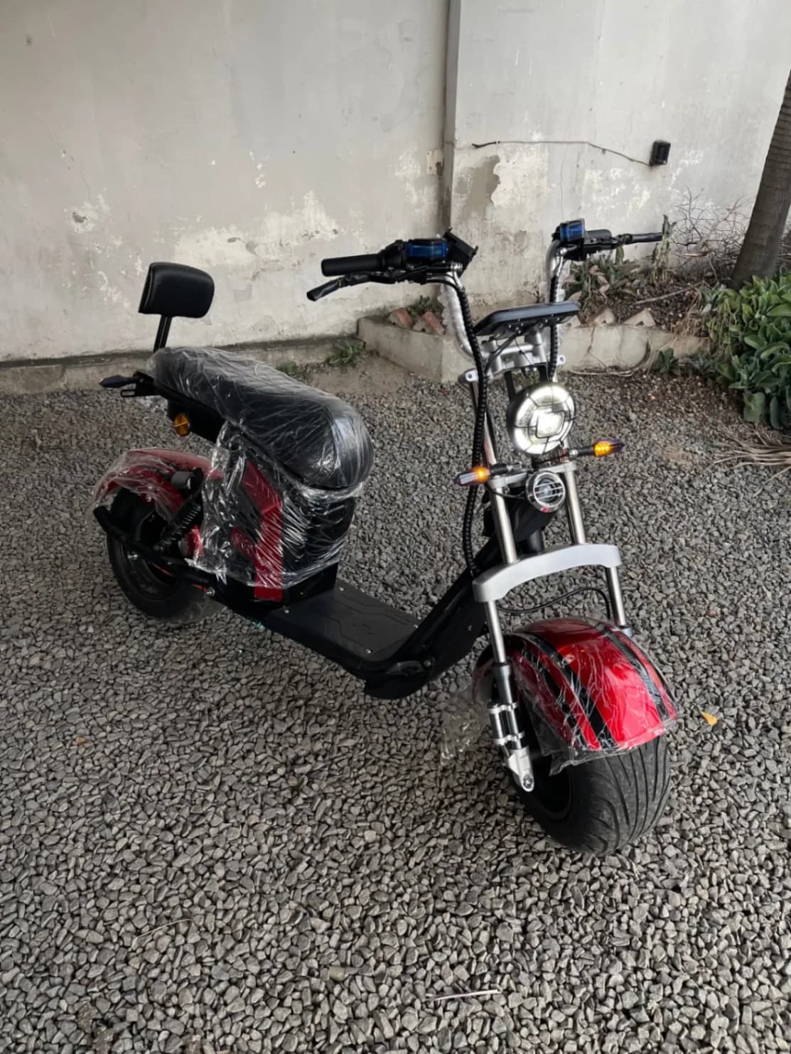 Panda R13-S