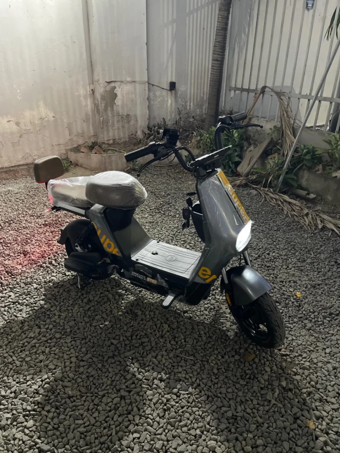 Panda T2